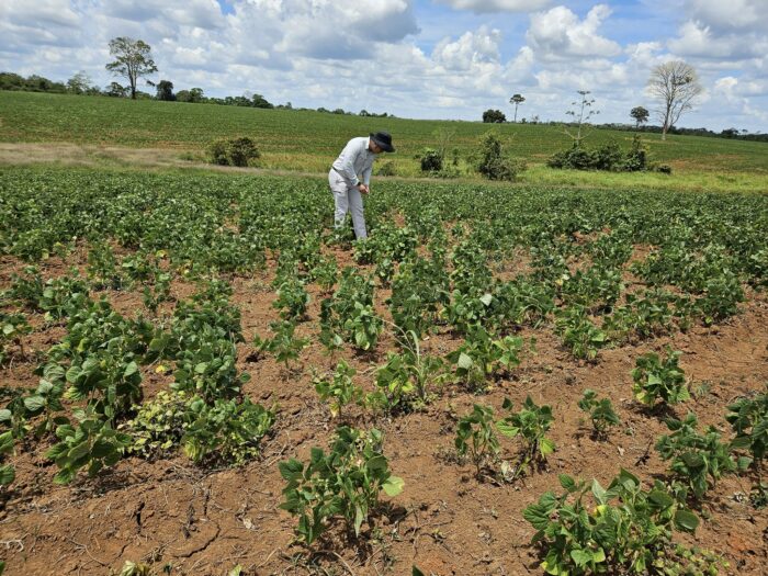 Sector agrícola recuerda problemas urgentes y pide atención del próximo Gobierno