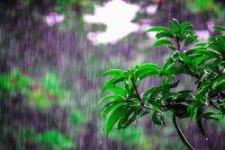 Pacífico presentó récords de lluvia que no se daban desde hace una década en febrero