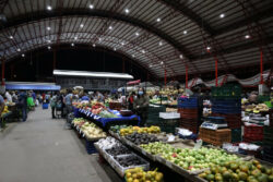 Aguacate hass nacional aumentó de precio en Ferias del Agricultor: ¿Cuáles productos están más baratos?