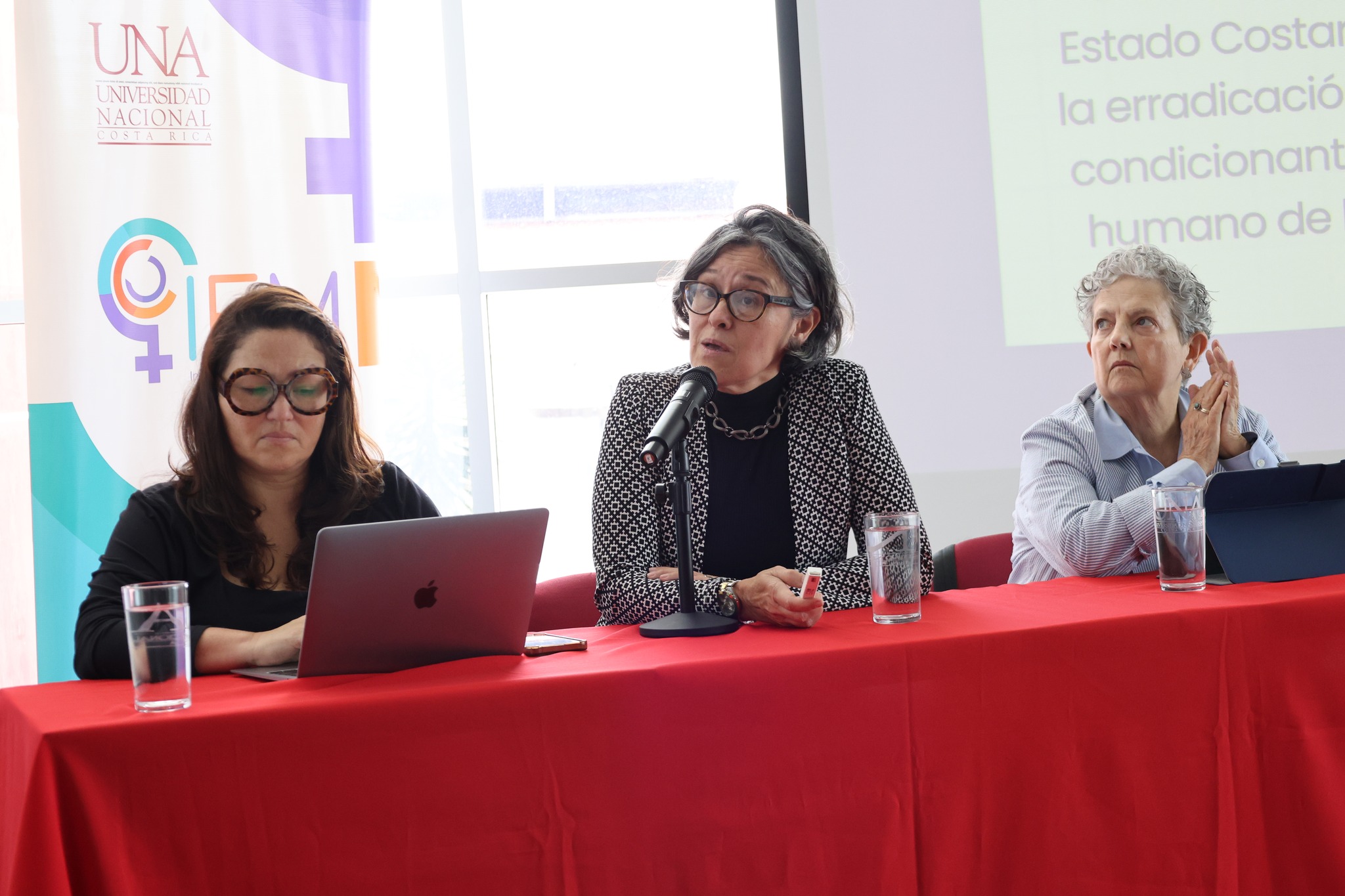 UNA: Tasa de femicidios cometidos por parejas se duplicó en dos años