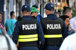 Proyecto plantea cárcel por usar distintivos policiales falsos en vehículos