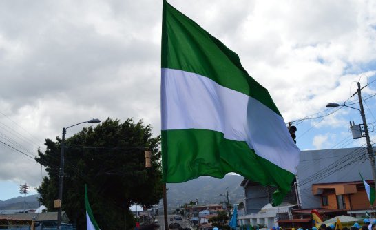 Encuesta revela que 350 mil personas están totalmente decididas a votar en la convención del PLN