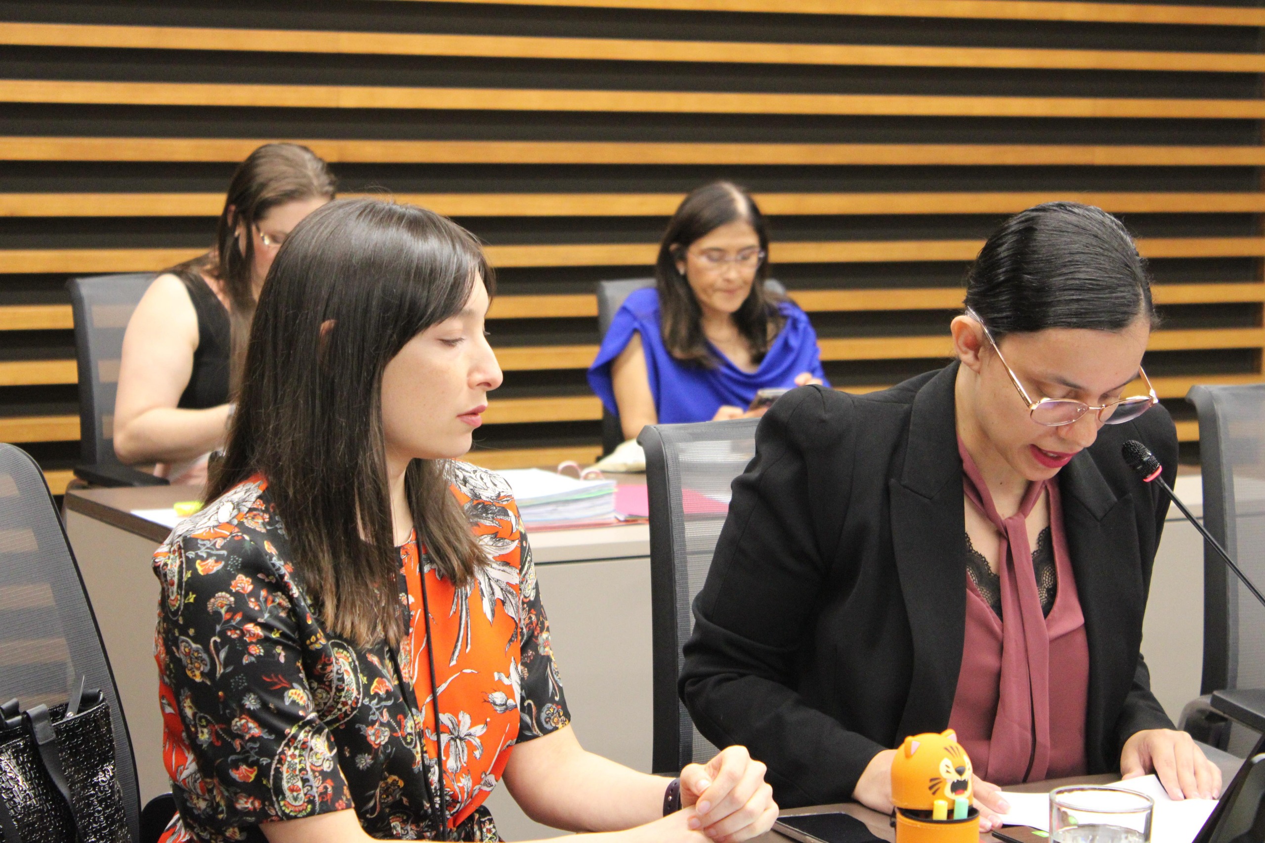 Comisión legislativa abre investigación tras despidos en el INS