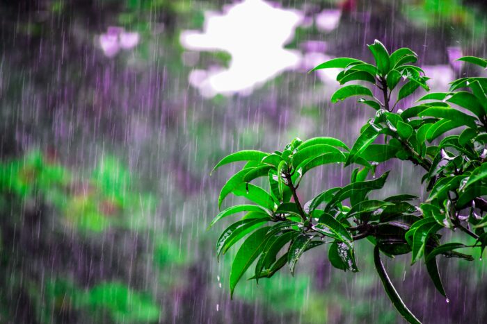 IMN prevé que tres factores aumenten lluvias este fin de semana en el país