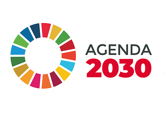 Gobierno elimina interés público en decreto que impulsa “Agenda 2030 para el Desarrollo Sostenible”