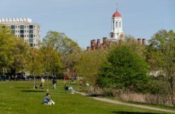 Una jueza federal bloqueó el intento de Trump de prohibir a los estudiantes internacionales en la Universidad de Harvard