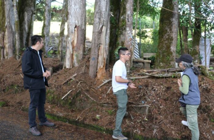 UNA identifica árboles en el “Tirol” con grados de inclinación importantes hacia viviendas y vía pública