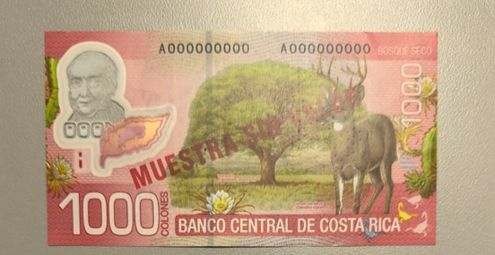 Series del billete de ₡1000 dejarán de ser aceptadas como medio de pago a partir de noviembre