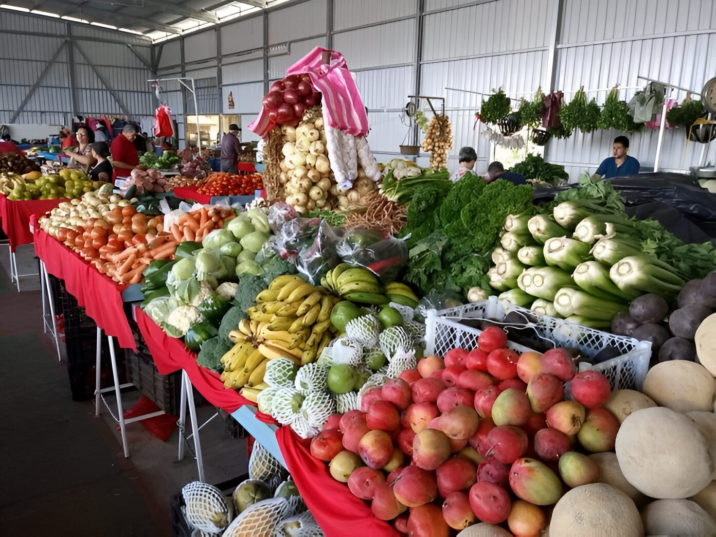 ¡Tome nota! Precio de la papa y la cebolla disminuyó en las Ferias del Agricultor