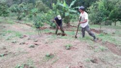 Día del Agricultor: Productores revelan preocupaciones para el sector