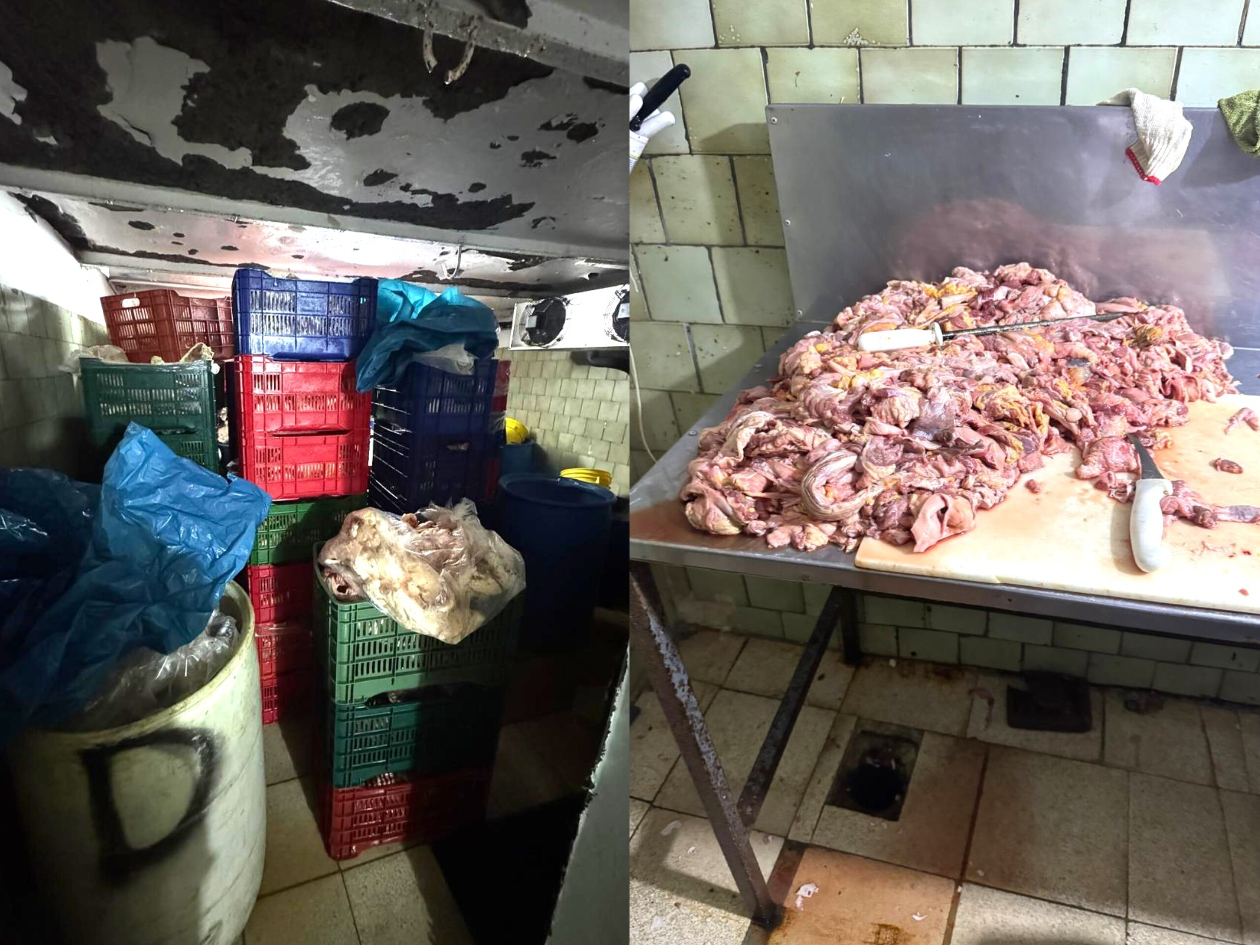 SENASA incauta 8 toneladas de carne de dudosa procedencia en Desamparados