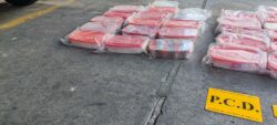 Policía decomisa mayor cantidad de metanfetaminas en la historia: 48 kilos de cristal en Tibás