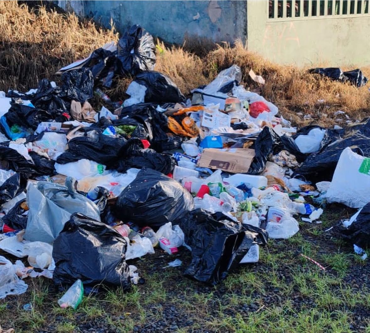 Entró en vigencia reglamento que multa por tirar basura en San José