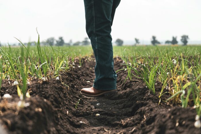 Agricultores temen que país se convierta en un ‘importador neto de comida’ ante políticas actuales
