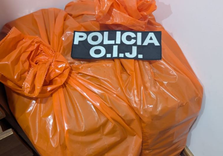OIJ identifica “temor” en ciudadanos para dar información sobre investigaciones a raíz de incremento en la violencia