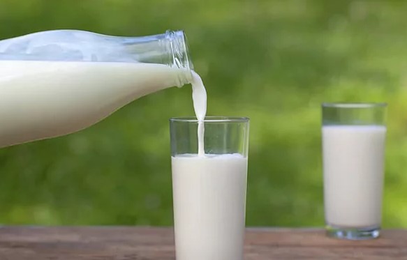 Costarricenses consumen en promedio 220 litros de leche al año por persona