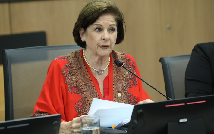 Pilar Cisneros estima que a final de mes se anunciará el partido político que representará al “rodriguismo” en elecciones del 2026