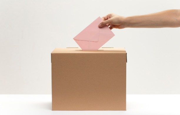 Doble postulación fue utilizada 75 veces durante últimas siete elecciones nacionales