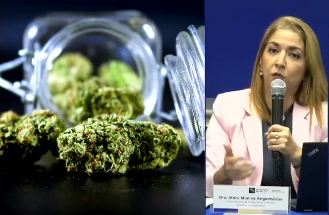 Salud anuncia posibilidad de registrar productos medicinales con contenido de cannabis activo desde este lunes