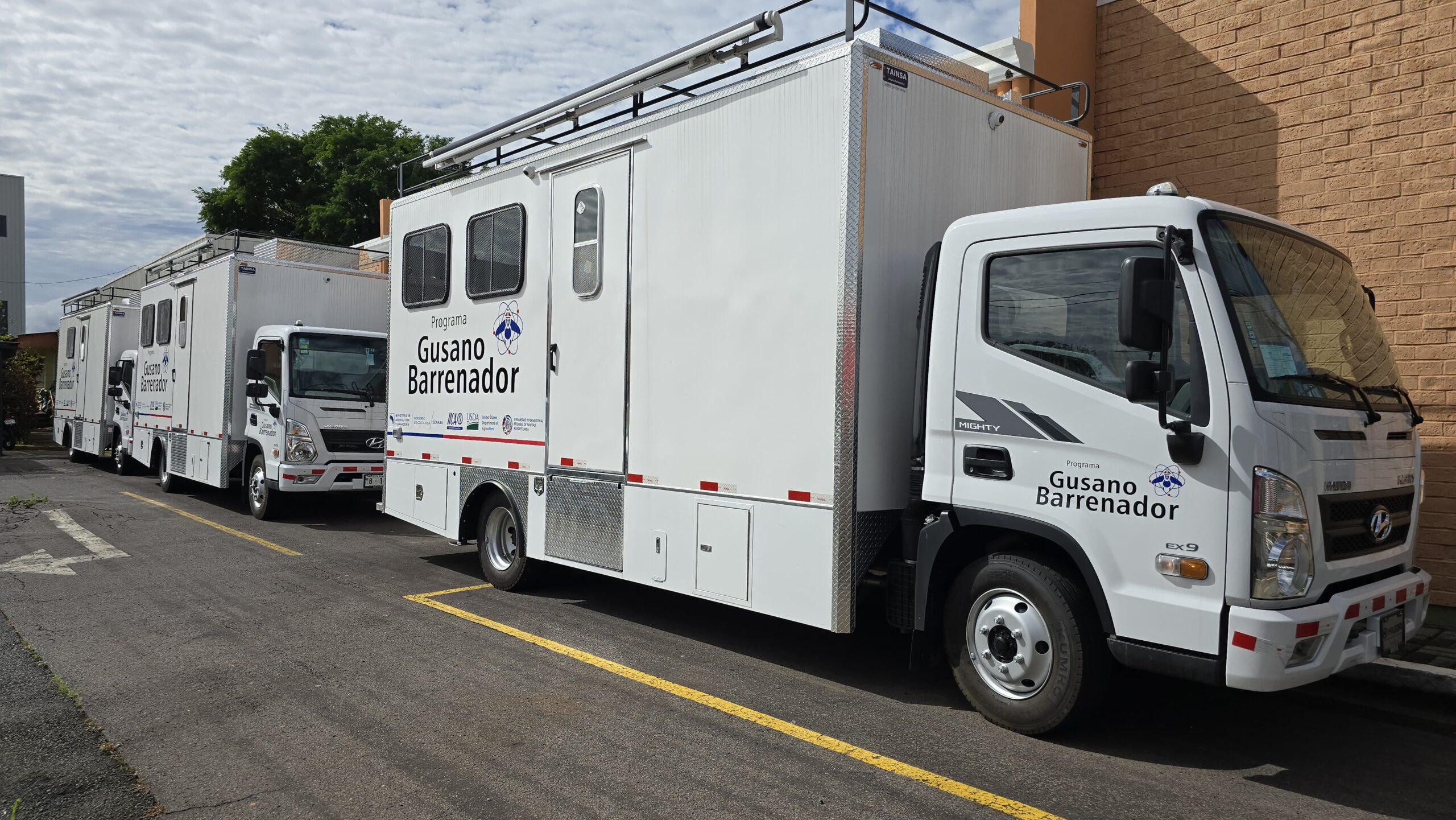MAG reforzará controles en carretera para combatir el gusano barrenador