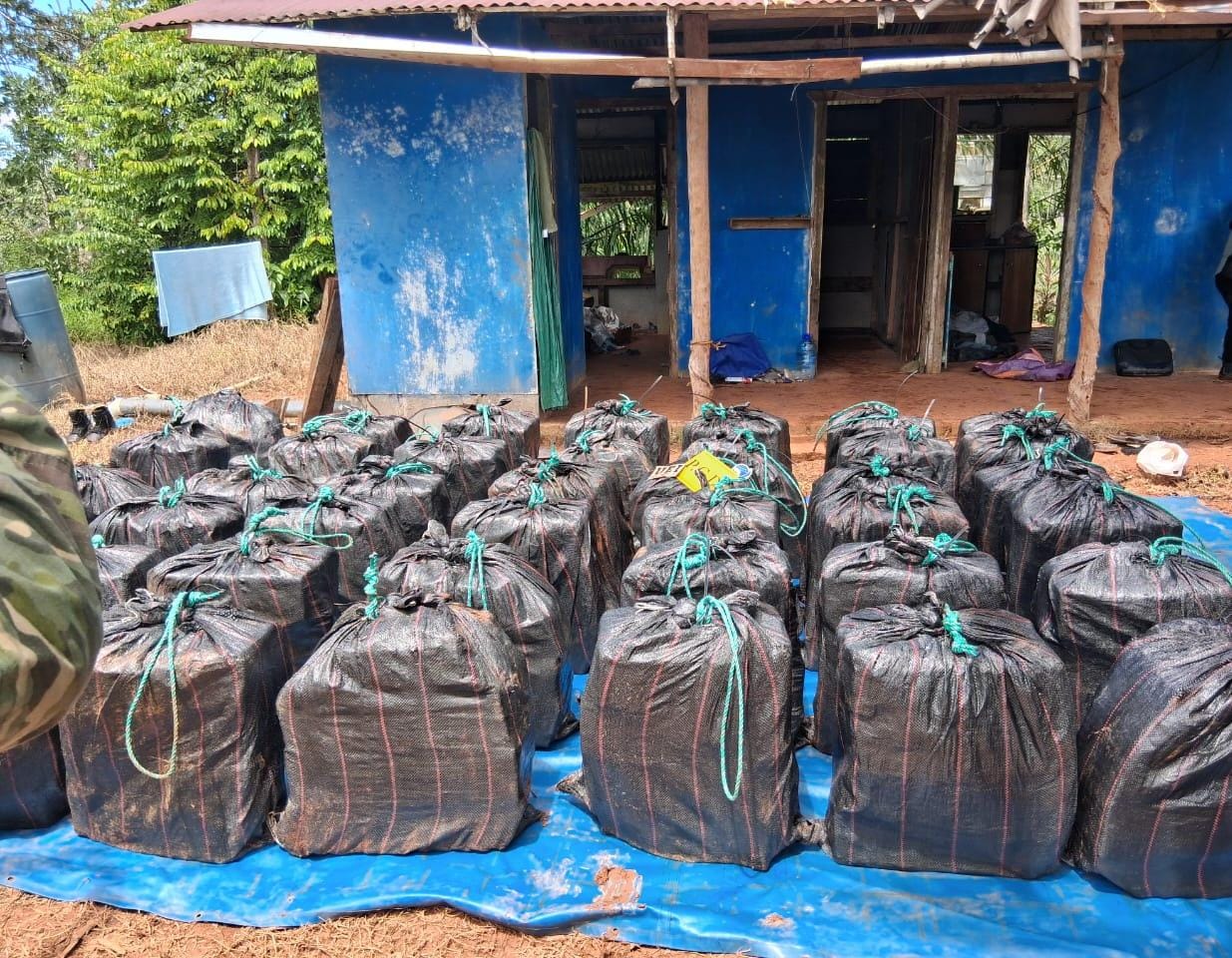 Autoridades incautaron más de 1.6 toneladas de droga en Osa