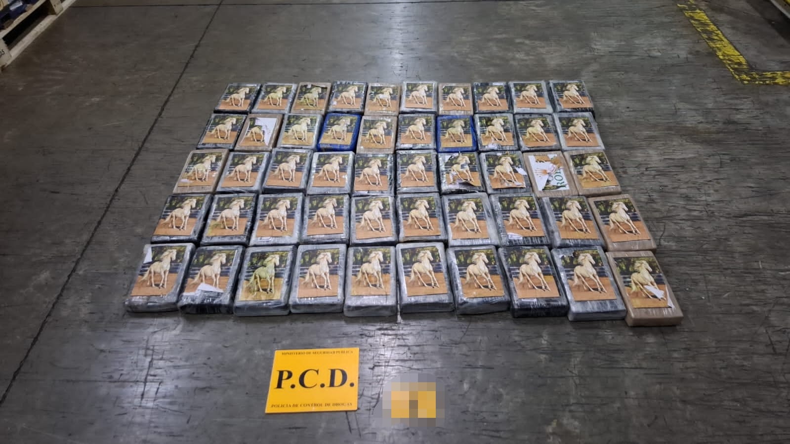 Suman más de 10 toneladas de cocaína decomisadas en contenedores desde instalación de escáneres en Moín