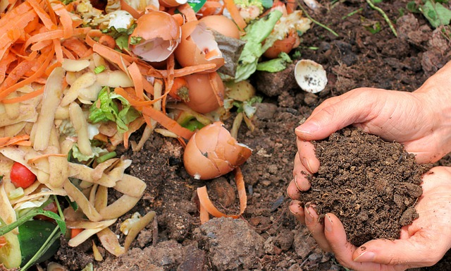 Reportaje Especial: El desperdicio de alimentos y su impacto en la contaminación y generación de basura