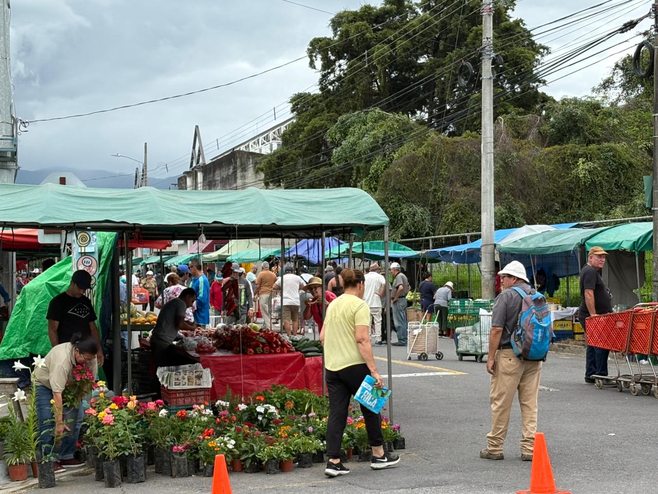 ¿Va para la feria? Lechuga, papa y tomate están más caros
