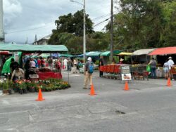 ¿Va para la feria? Tomate, piña y lechuga están más caros esta semana