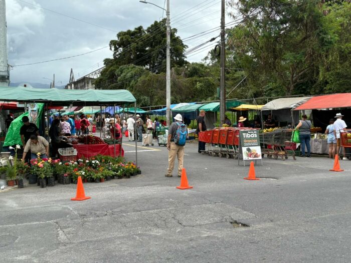 ¿Va para la feria? Tomate, piña y papa bajaron de precio esta semana