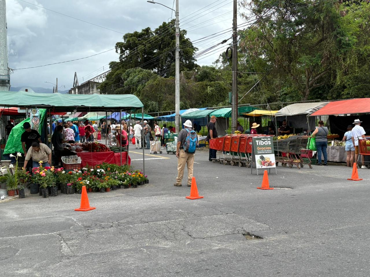 ¿Va para la feria? Tomate, piña y lechuga están más caros esta semana