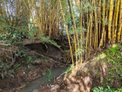 Municipalidad de Montes de Oca busca nuevas alternativas para solucionar inundaciones por Quebrada Los Negritos