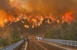 Turquía, Grecia y Bulgaria sufren devastadores incendios en plena ola de calor extremo