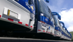 Empresas autobuseras insisten en necesidad de aumento para ruta de Lumaca