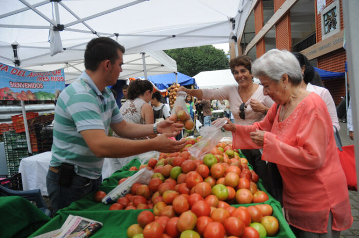 ¿Necesita verduras? Cebolla y papa están más caras en la Feria del Agricultor