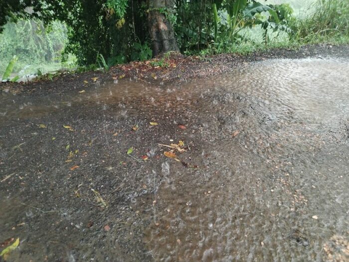 Periodo canicular continuará durante agosto con interrupciones de lluvia más intensas de lo normal