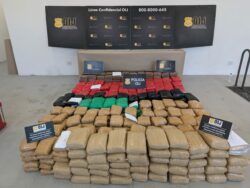 OIJ incautó casi media tonelada de cocaína y 700 kilos de marihuana que iban en camión en Puntarenas