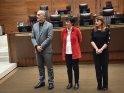 Diputados del PLN, FA y oficialismo integrarán comisión que analizará levantamiento de inmunidad del Presidente