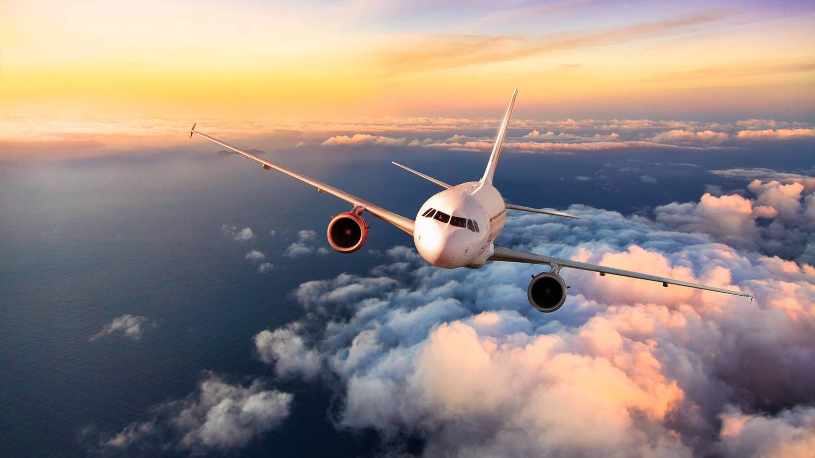 Cantidad de turistas por la vía aérea durante mayo disminuyó 4,7% en comparación al 2024