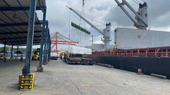 Importadores toman acciones para abastecer granos básicos ante meses más lluviosos