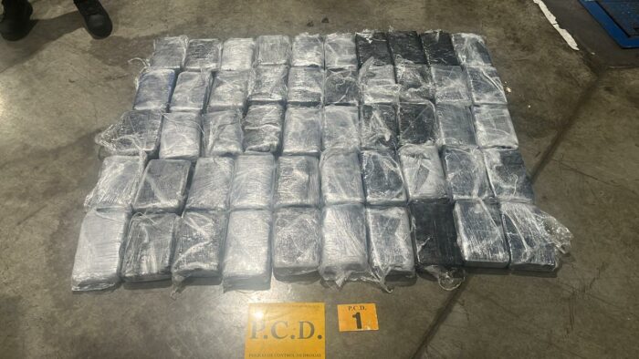 Autoridades decomisan 50 paquetes de cocaína en contenedor de banano con destino a Bélgica