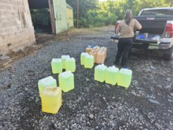 RECOPE critica baja cantidad de condenas por robo de combustible: 57 personas sentenciadas en 5 años