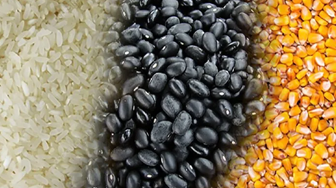 Costa Rica produce menos arroz, frijoles y maíz: Registraron caída de más de 20 mil toneladas en un año