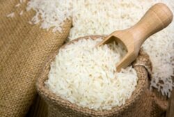 Consumo de arroz y frijoles en Costa Rica registra disminución en los últimos años