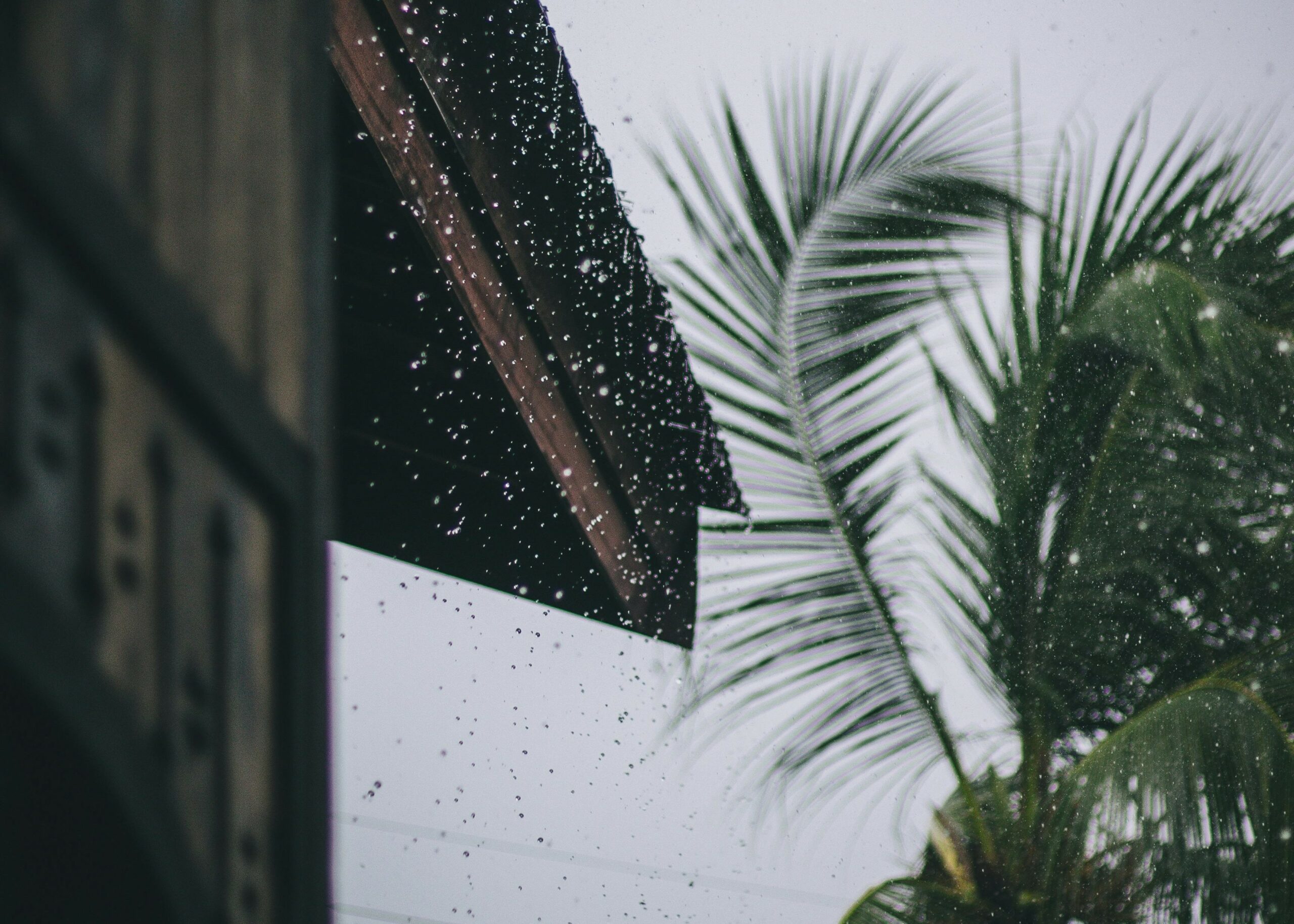 Autoridades refuerzan llamado a prevención ante lluvias previstas para el fin de semana