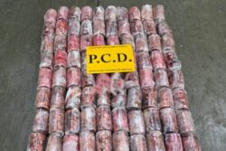 Decomisaron 128 ‘cilindros de cocaína’ en contenedor que iba para Países Bajos