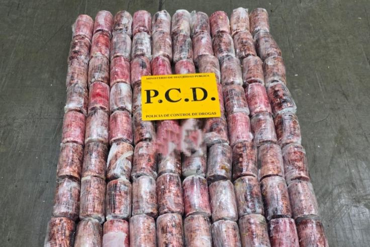 Decomisaron 128 ‘cilindros de cocaína’ en contenedor que iba para Países Bajos