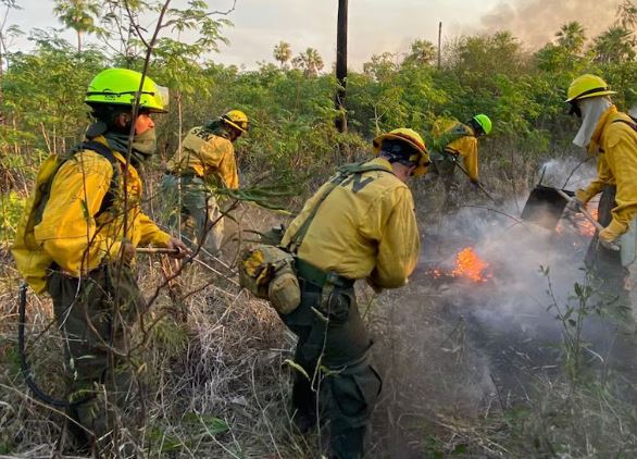 Un incendio en la frontera entre Paraguay y Bolivia arrasó con 16.000 hectáreas de vegetación