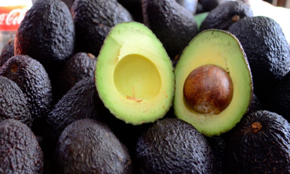 CNP prevé disminución en precio de aguacate, cas y limón mesino por estar en temporada
