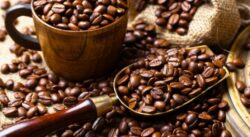 ¿Qué pasa con el café? Precio aumentó más de 14% este año